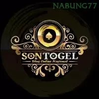 Sontogel